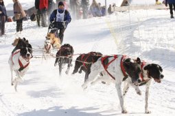 Lenk 2012 SM